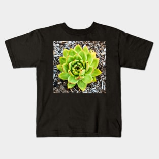 Beautiful Green Aloe Kids T-Shirt